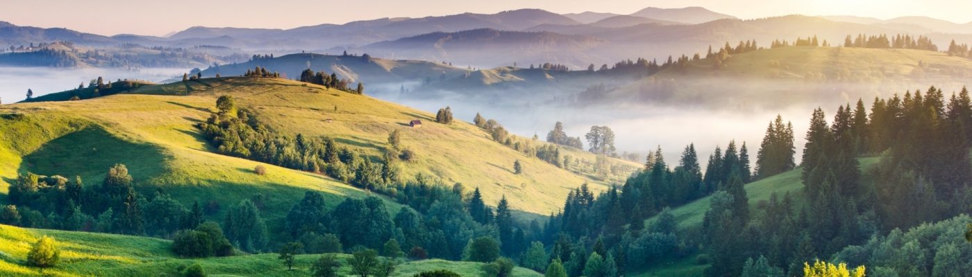 НАРОДНА УКРАЇНА